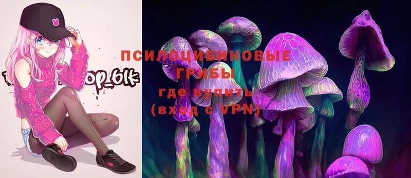 Галлюциногенные грибы Magic Shrooms  Багратионовск 